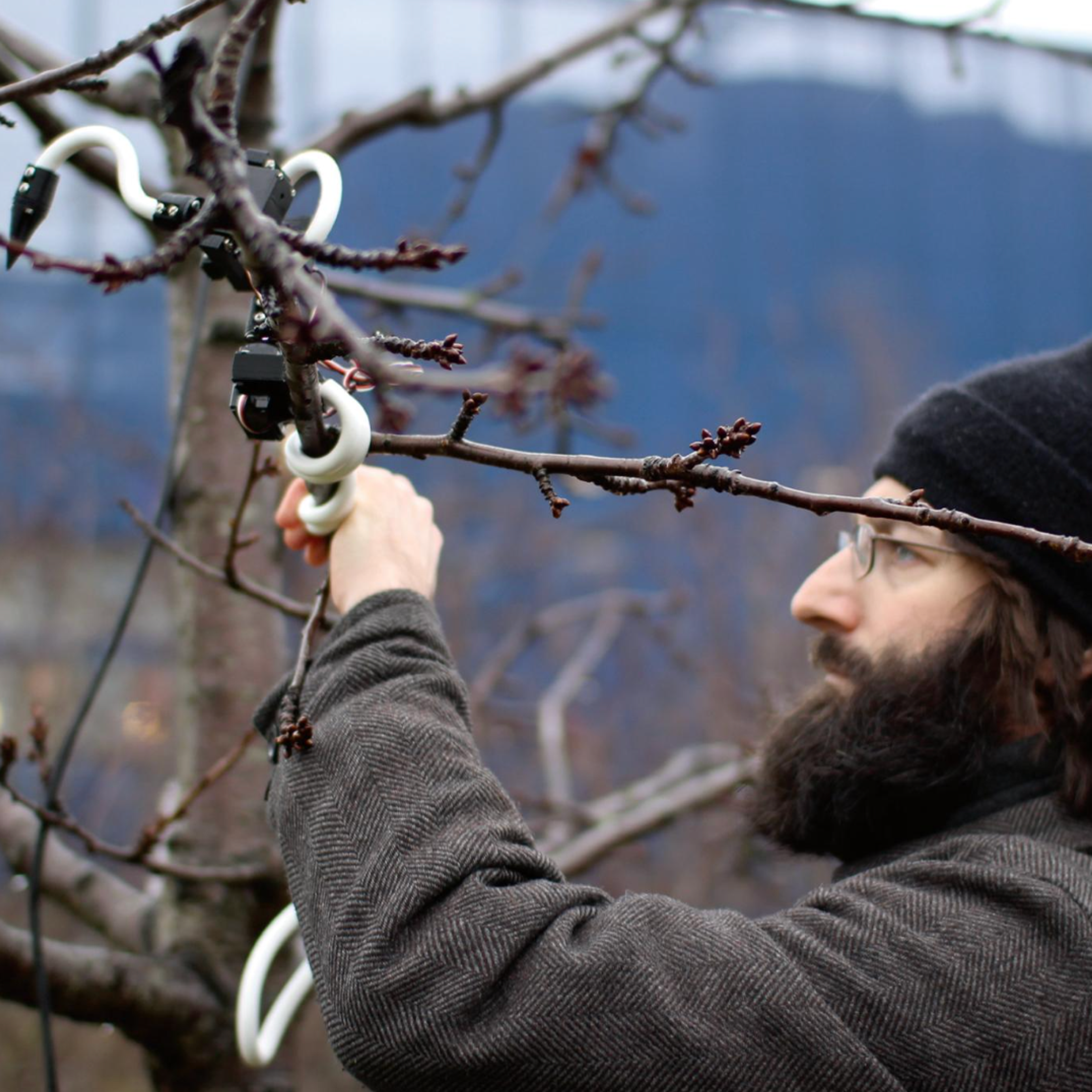 man attaching things to tree
