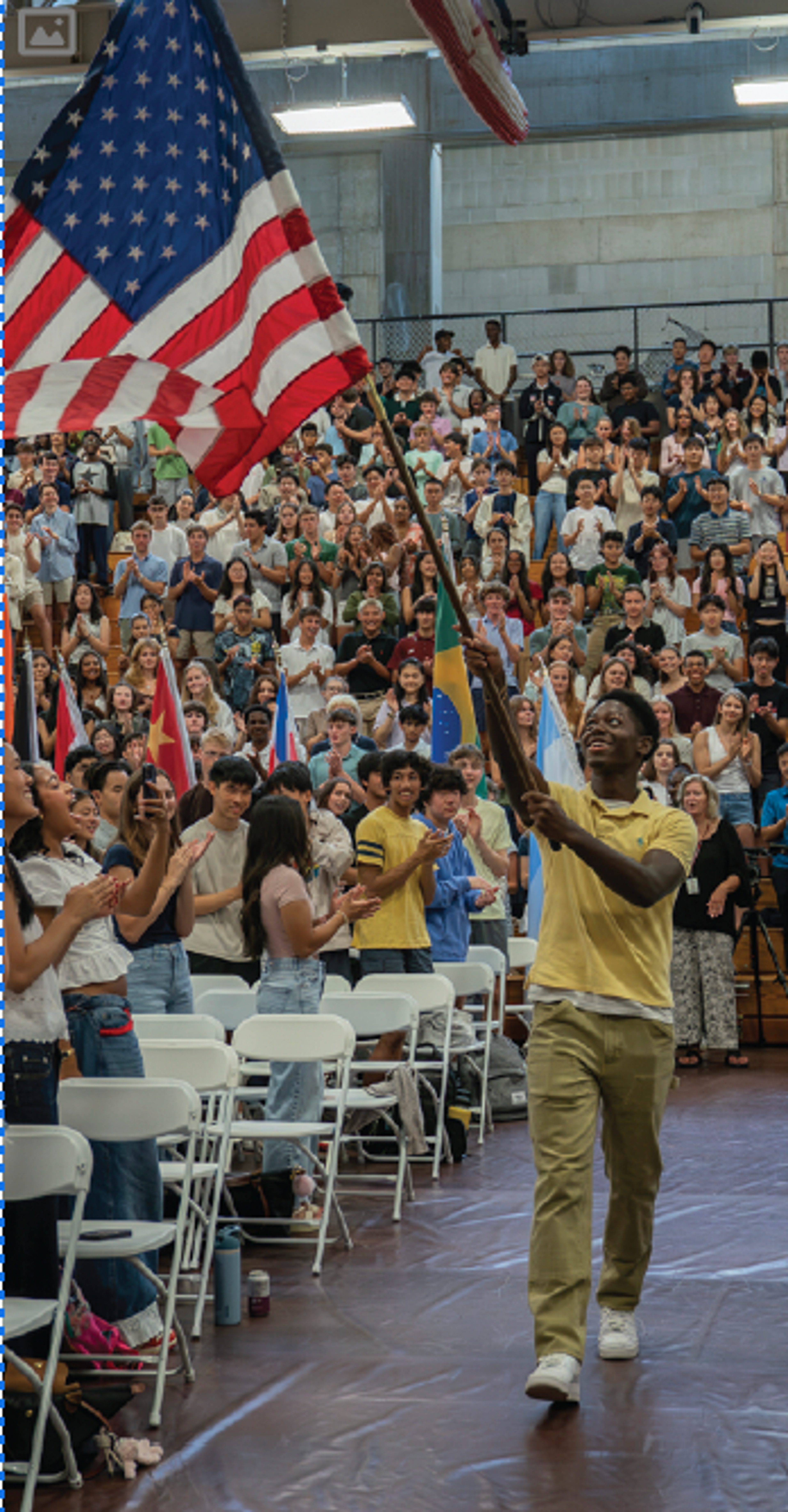 person waving a flag