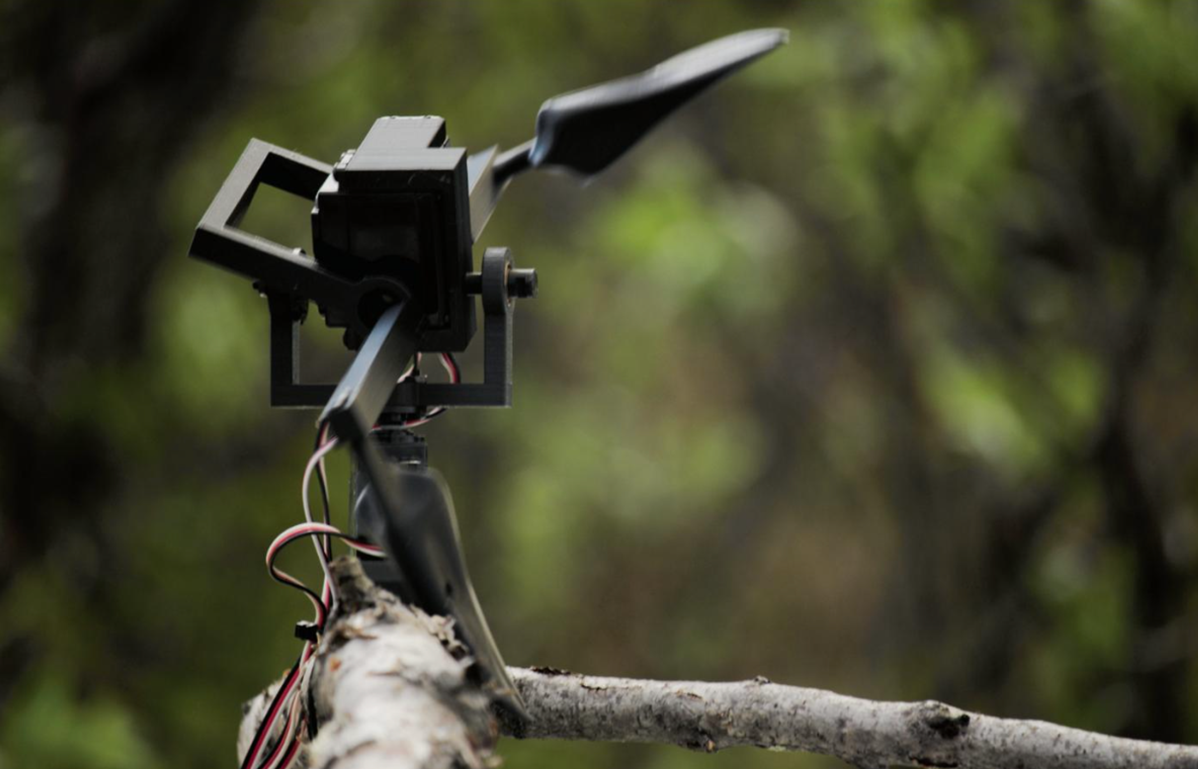 camera