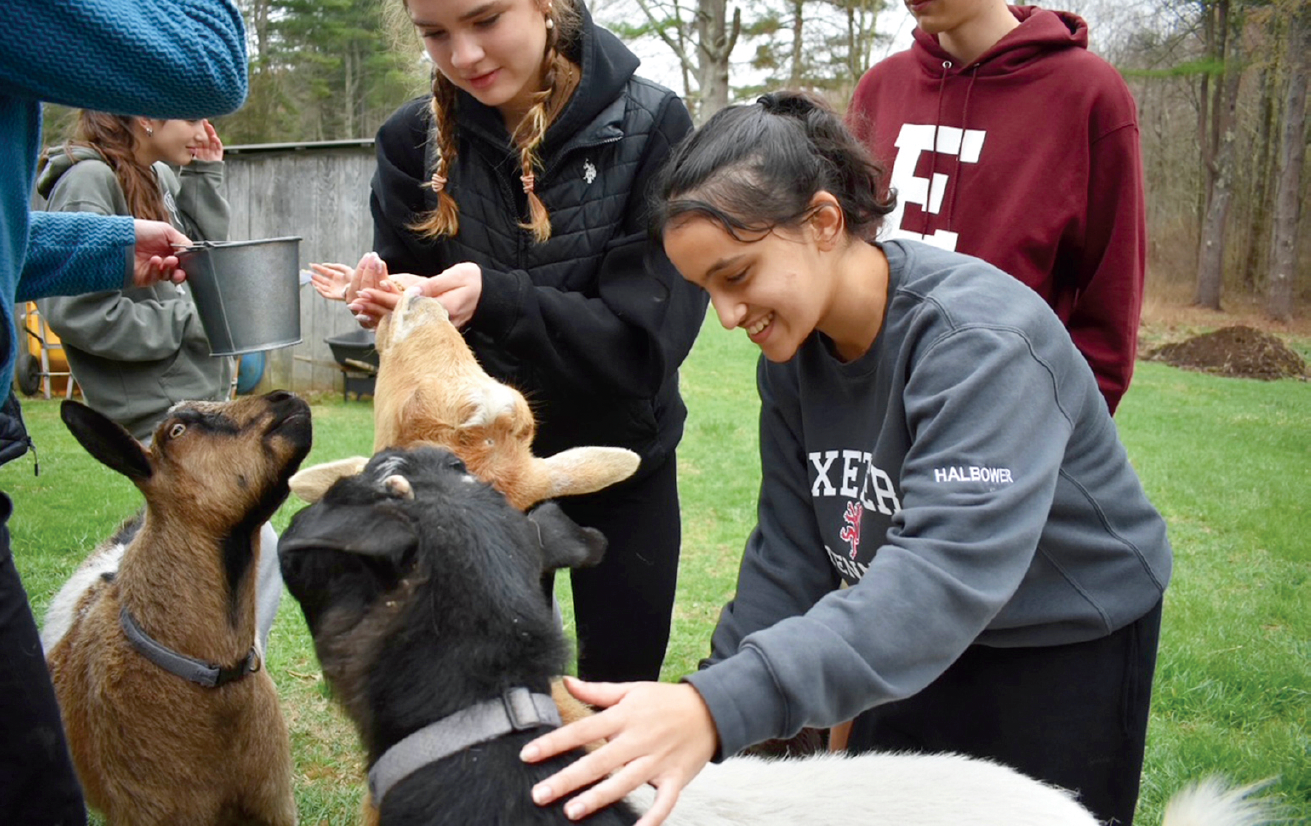 people petting goats