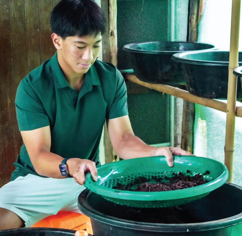 guy cleaning herbs