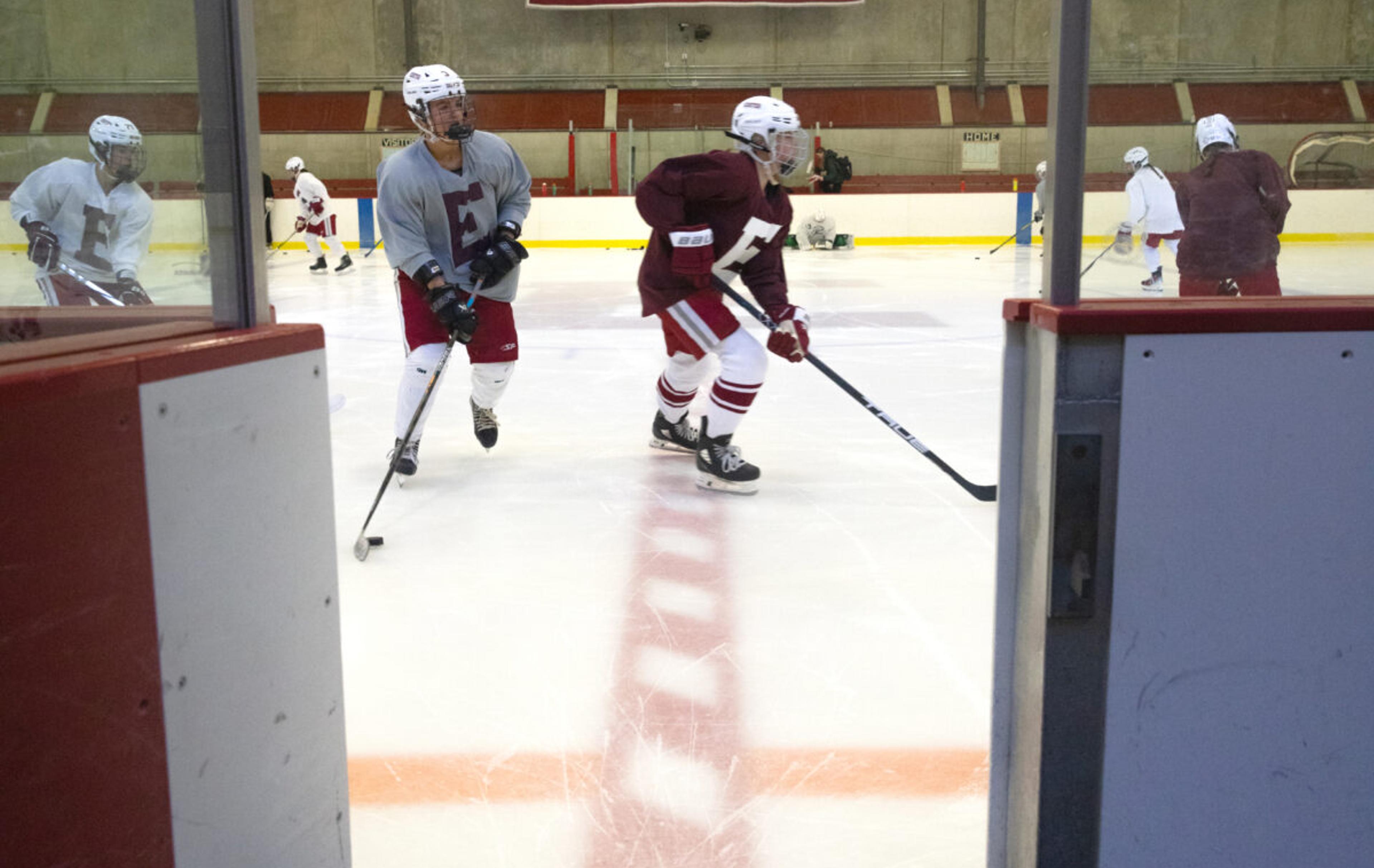 Hockey players skating