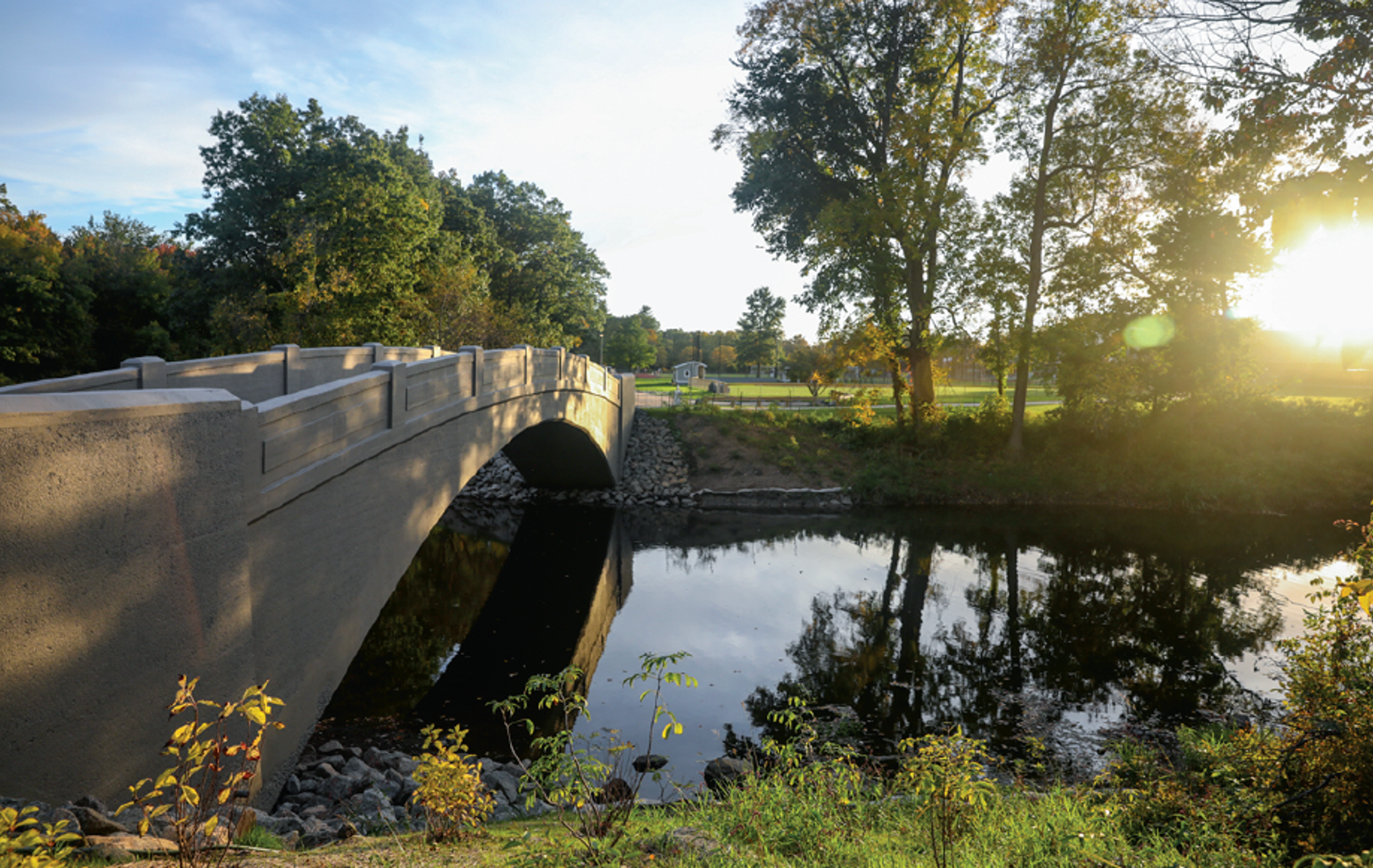 serene bridge and trees