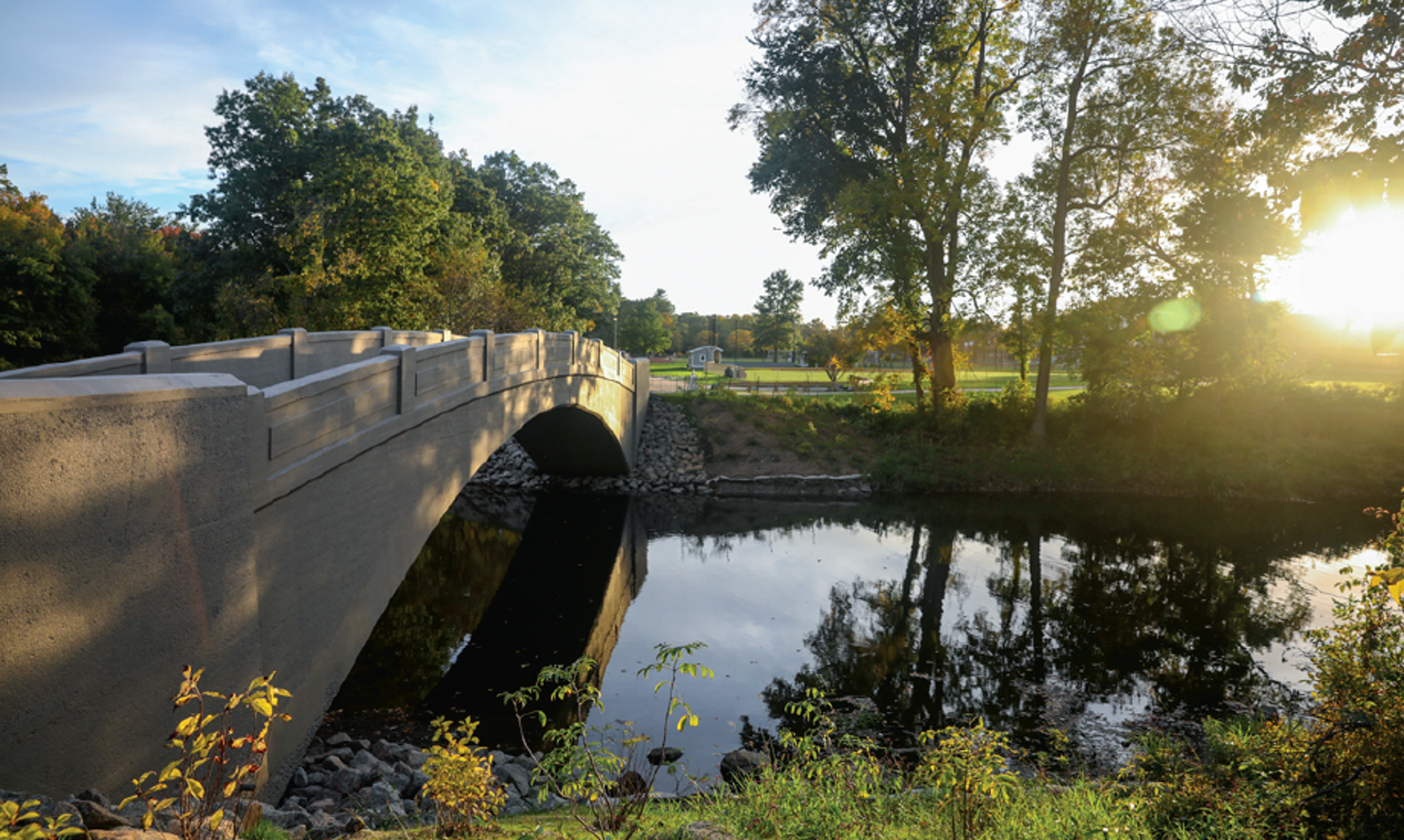 serene bridge and trees