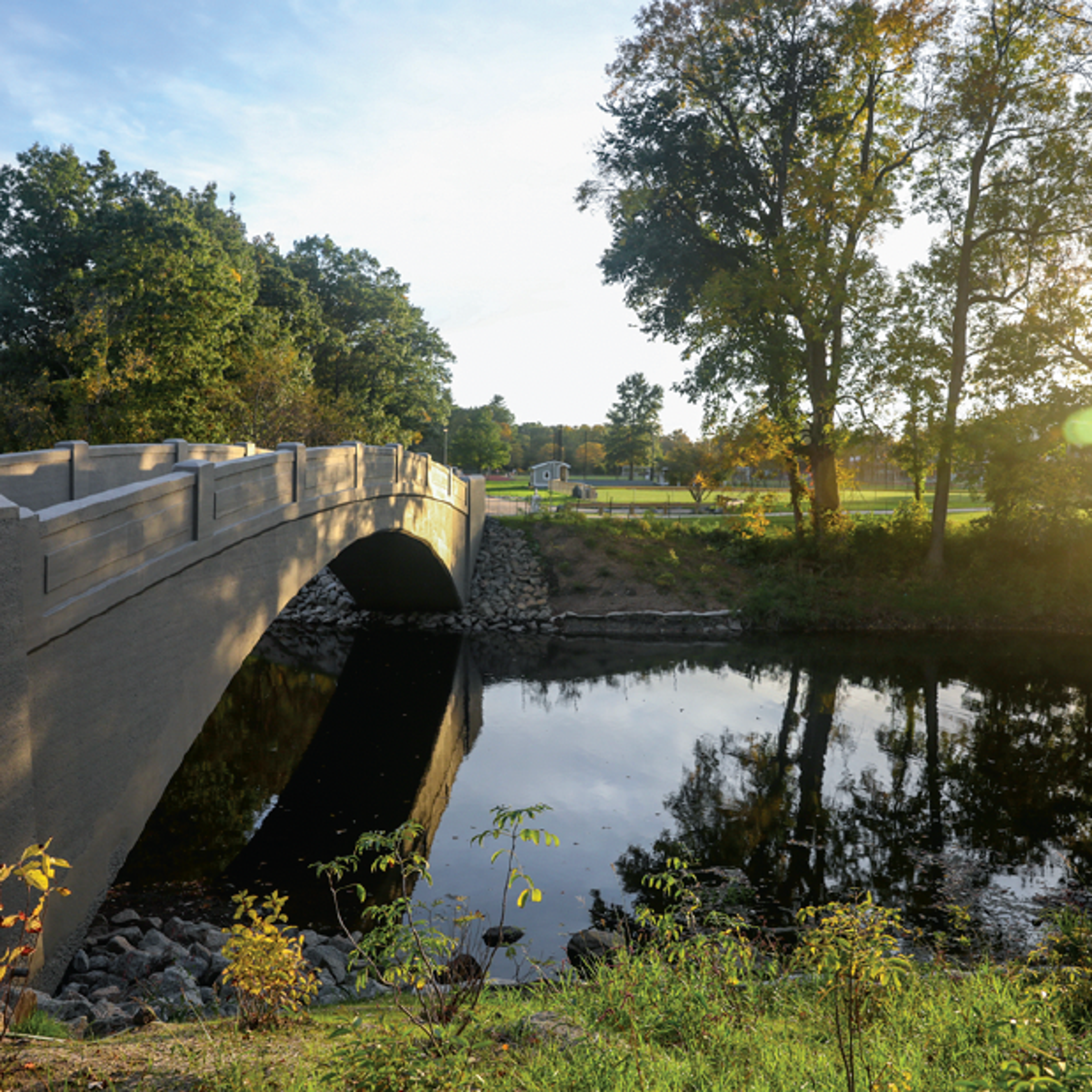 serene bridge and trees