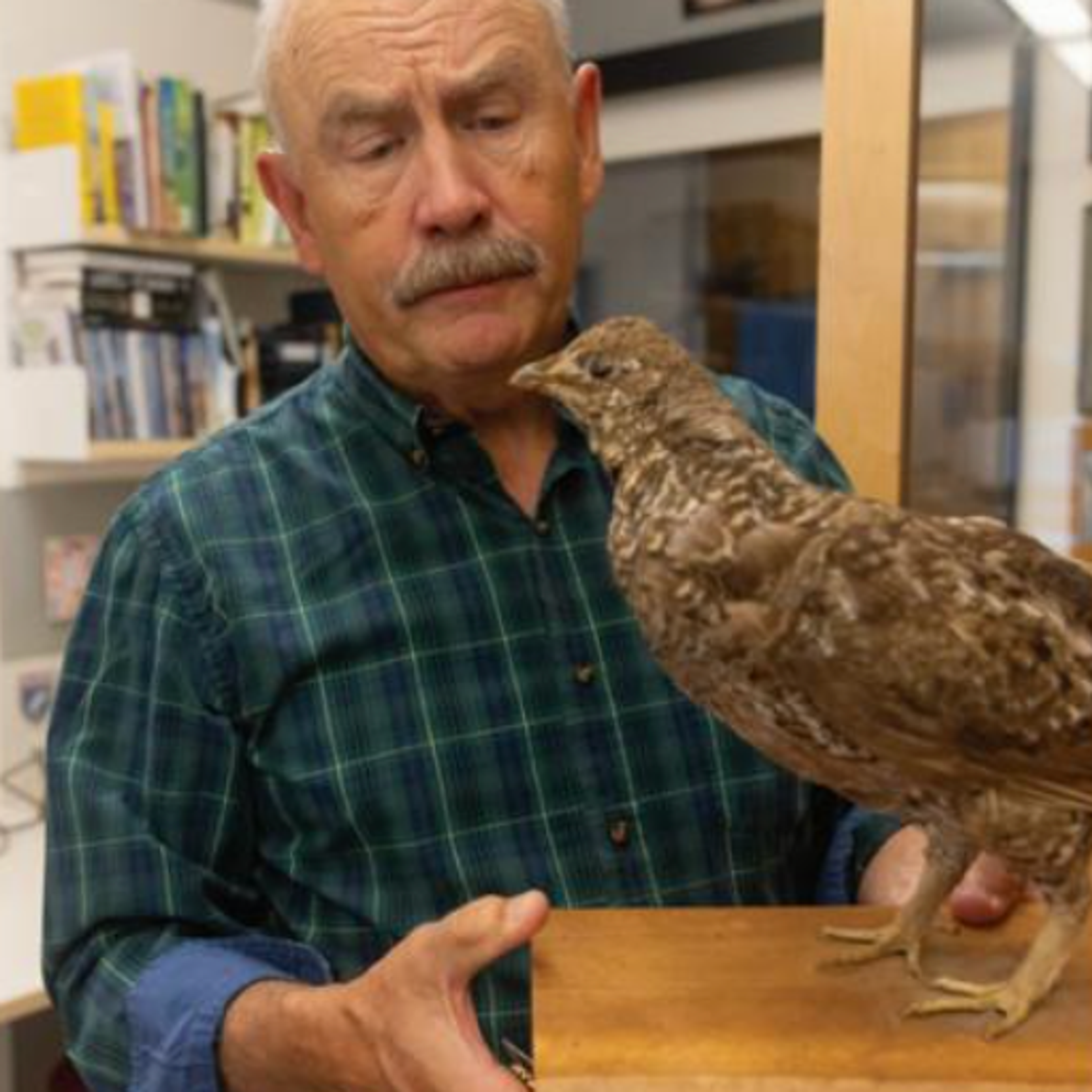 man with taxidermy birds