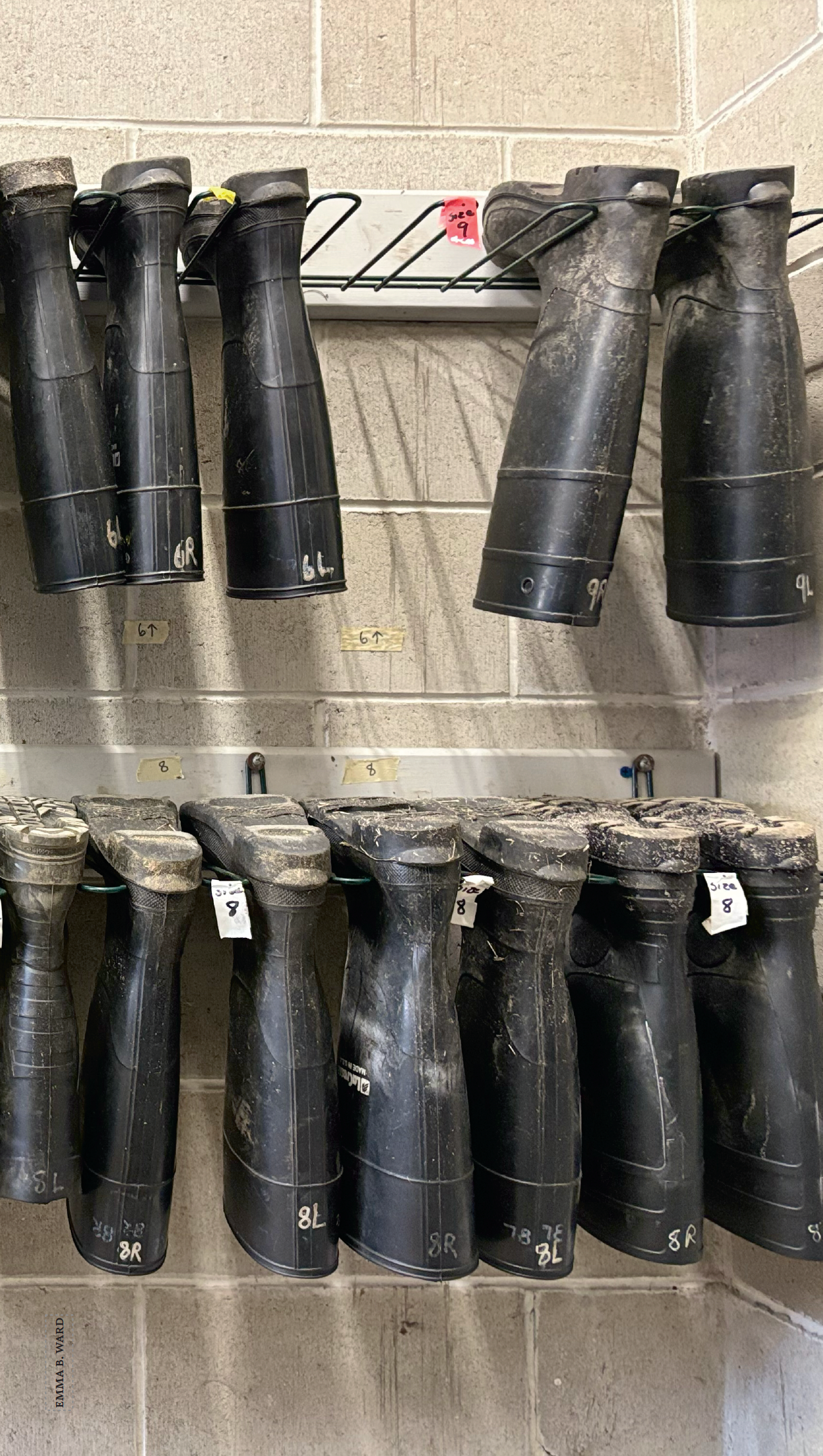 muddy boots hanging upside down