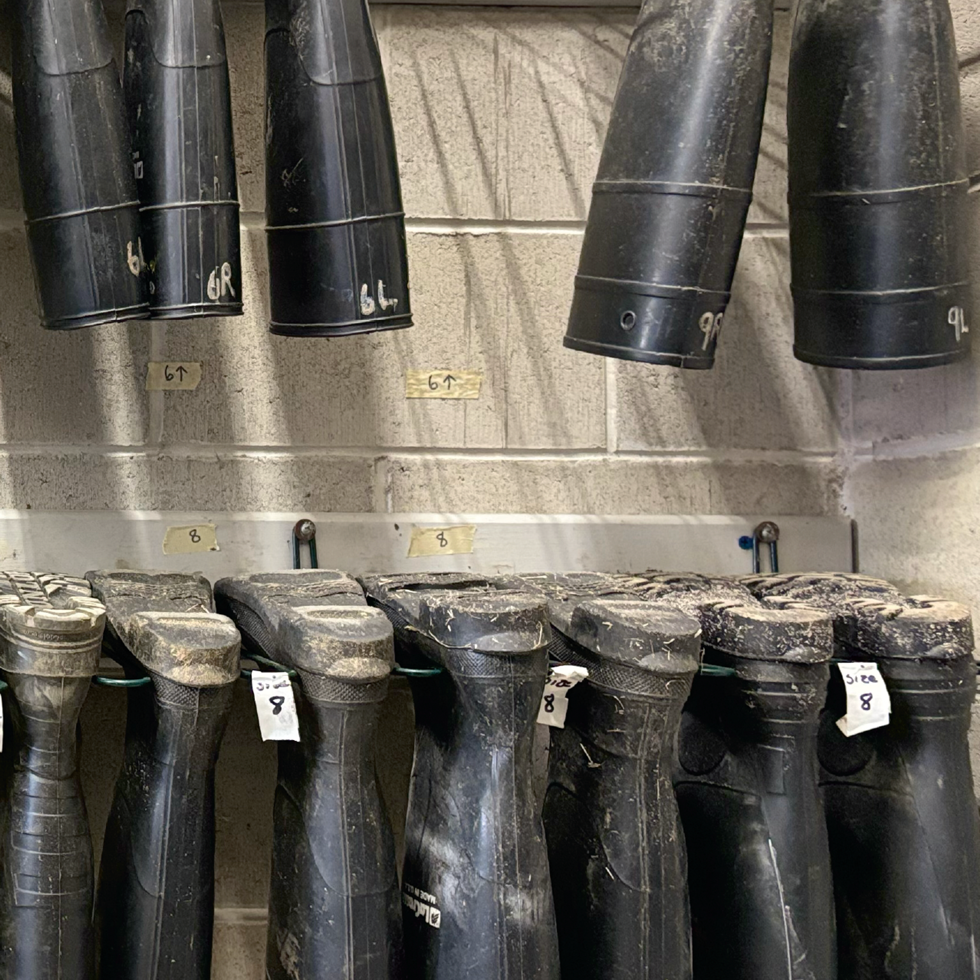 muddy boots hanging upside down