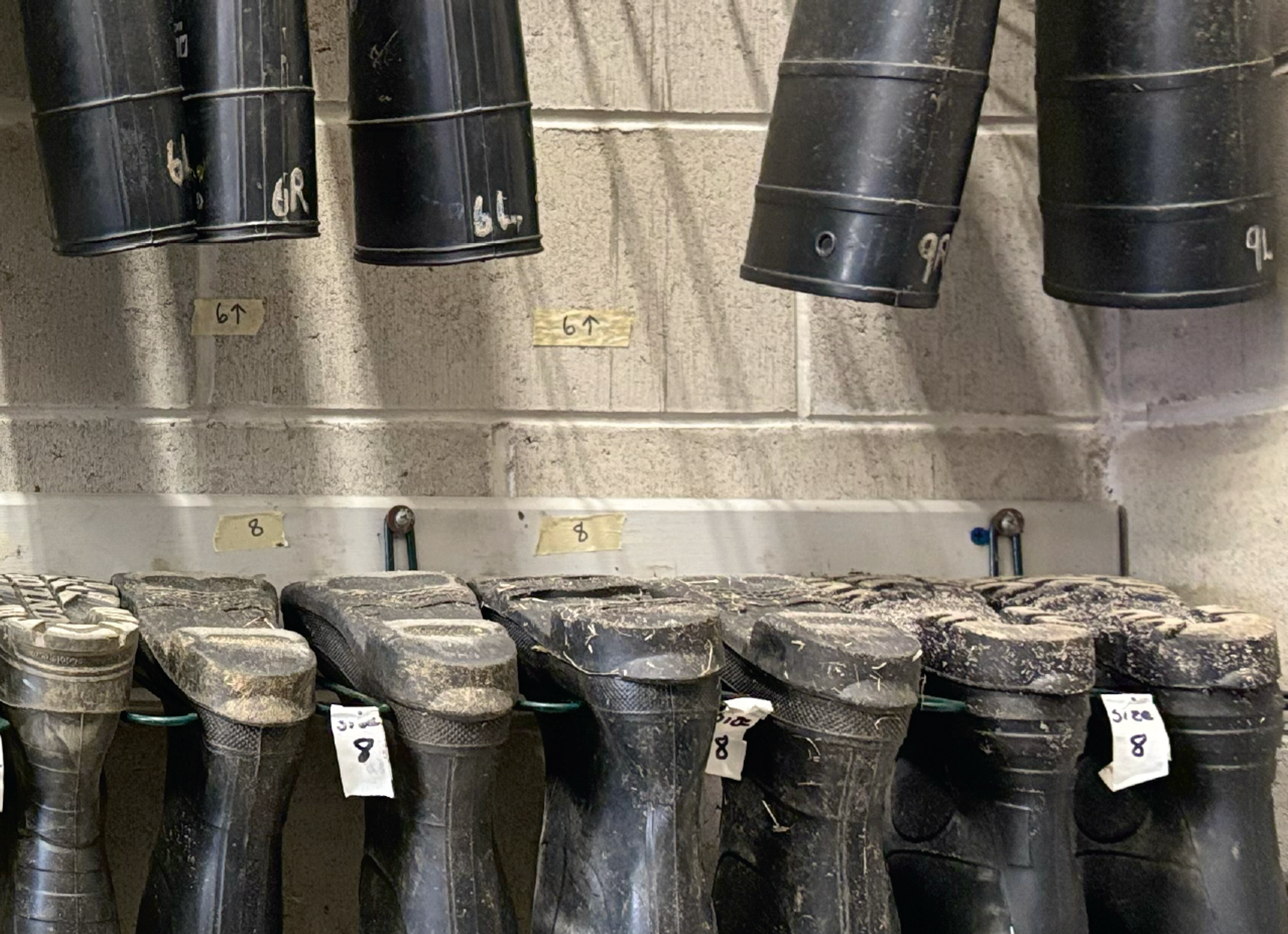 muddy boots hanging upside down