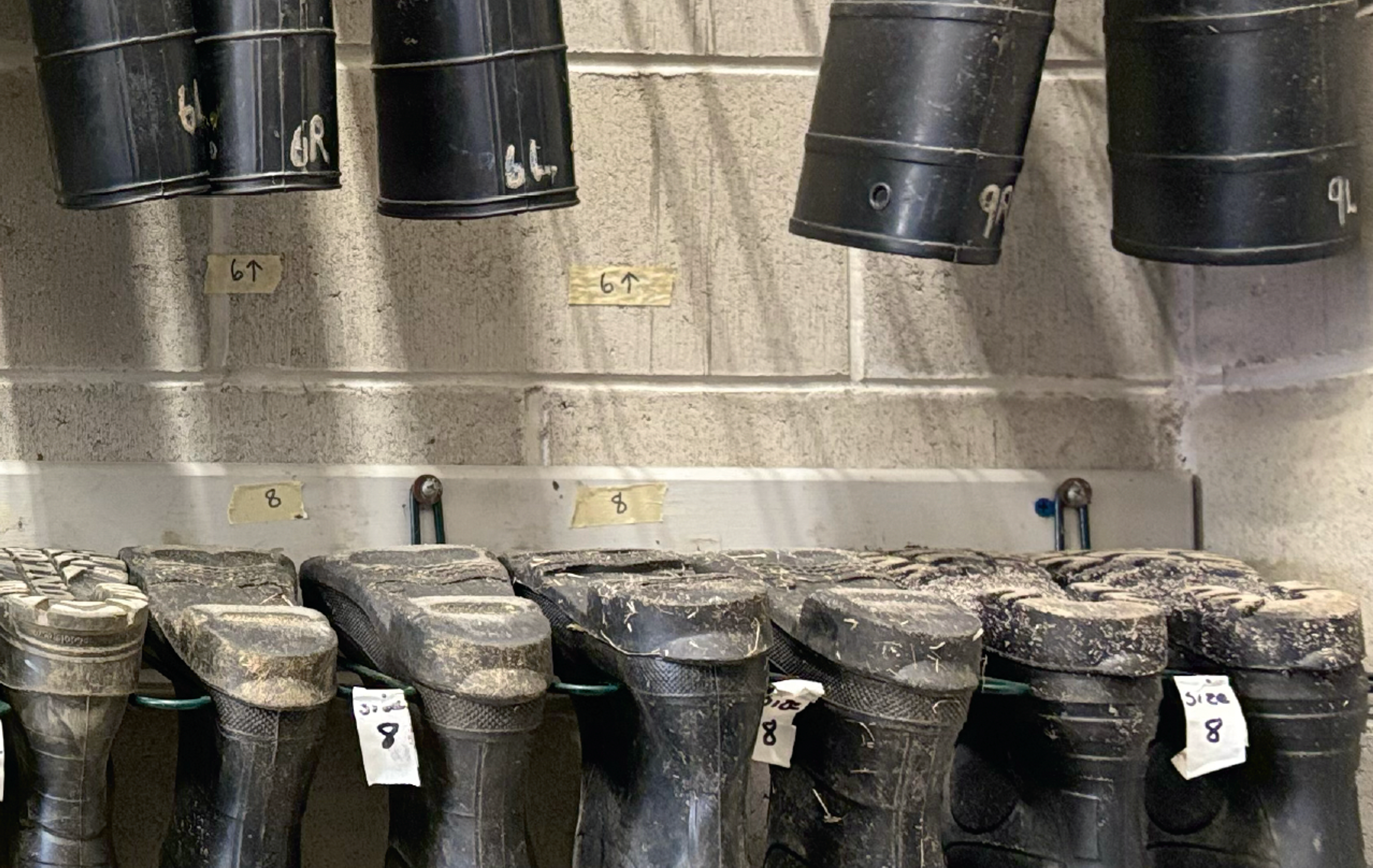 muddy boots hanging upside down