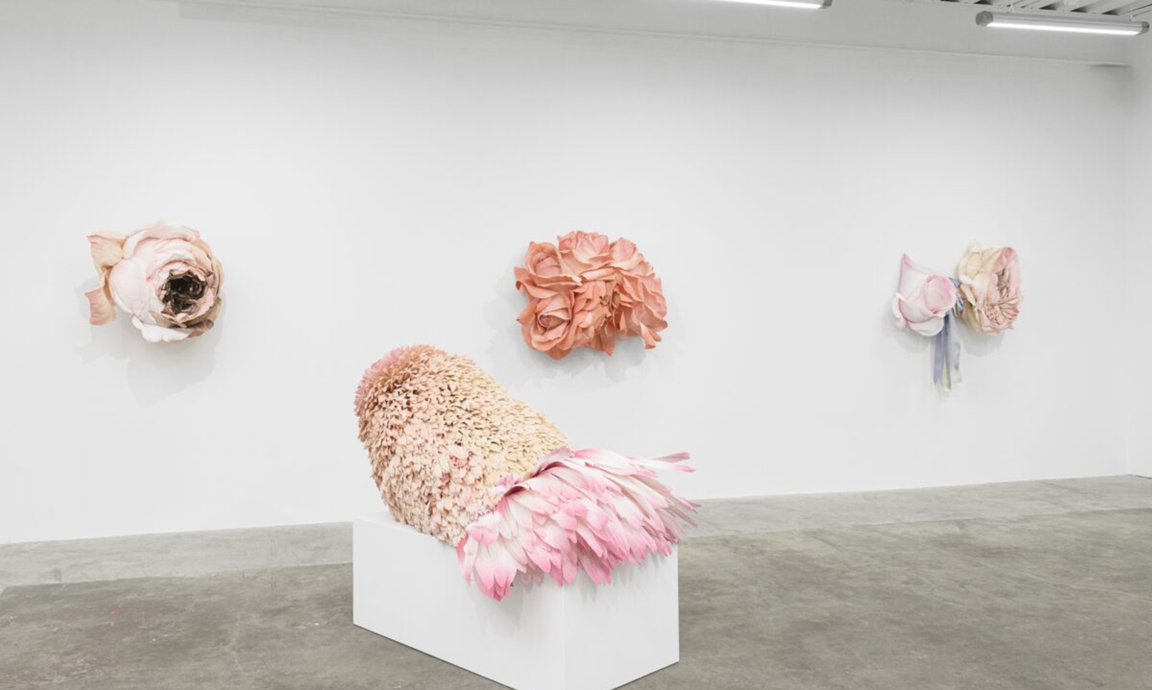 Flower installation in Lamont Gallery
