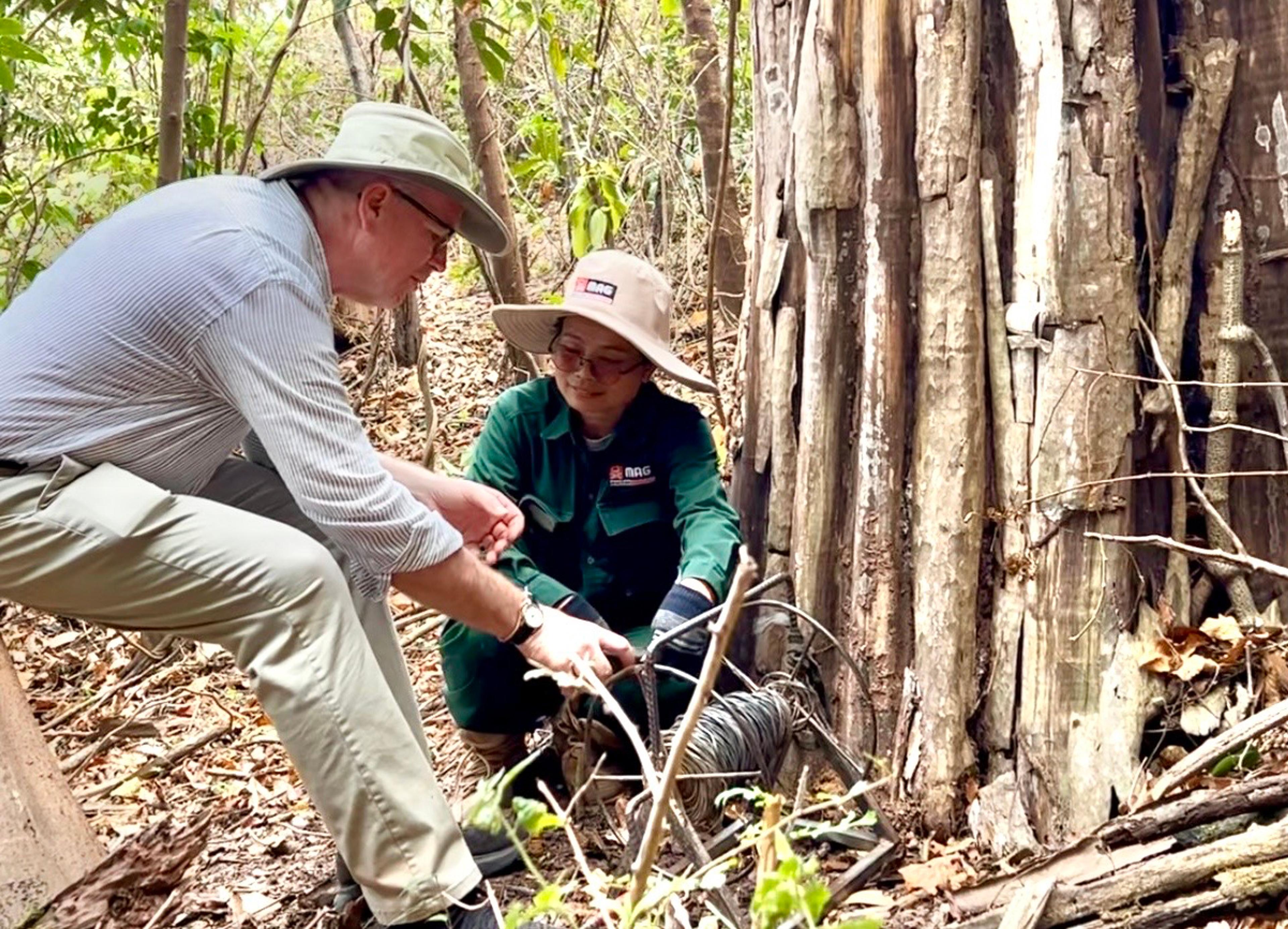 Restoring the Land