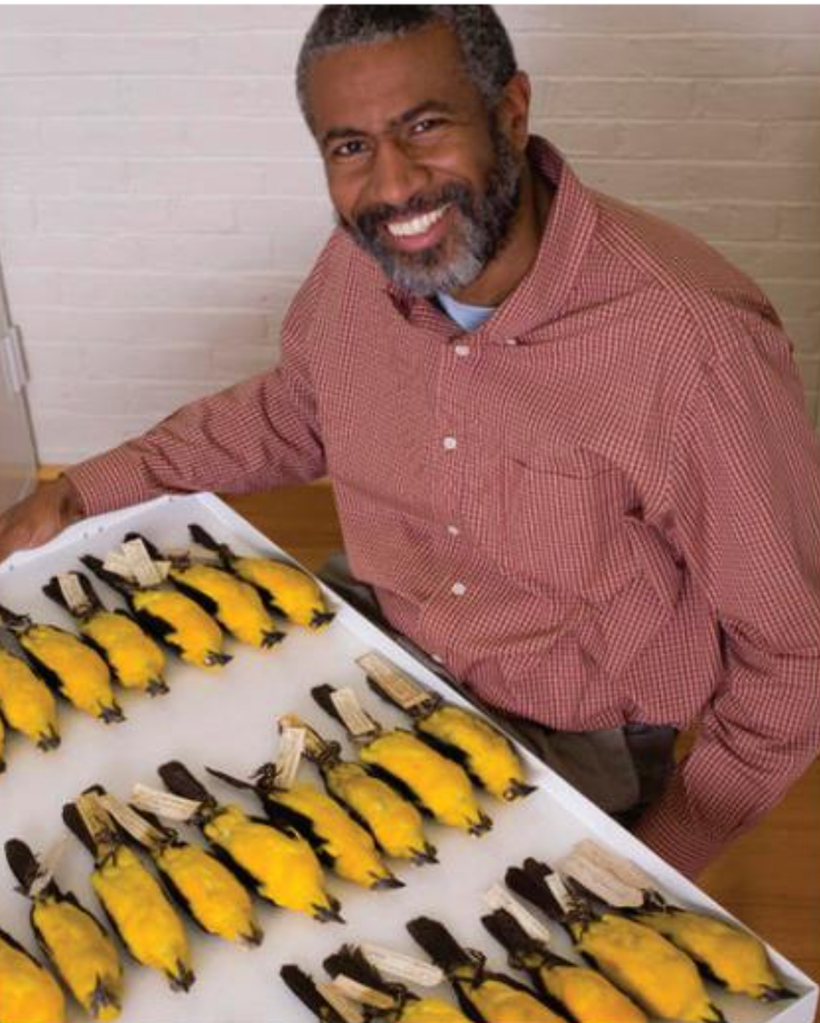 man with display of taxidermy birds