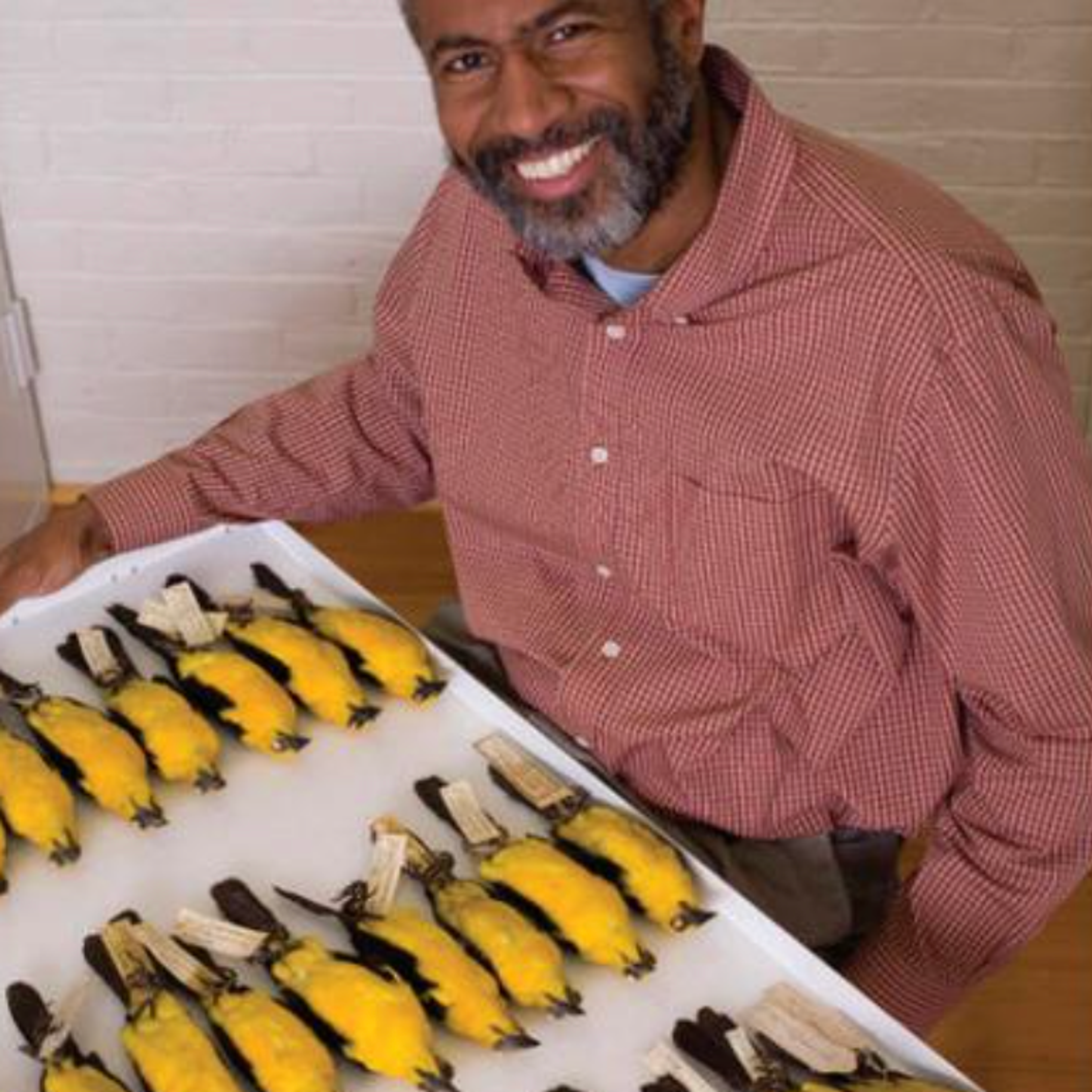 man with display of taxidermy birds