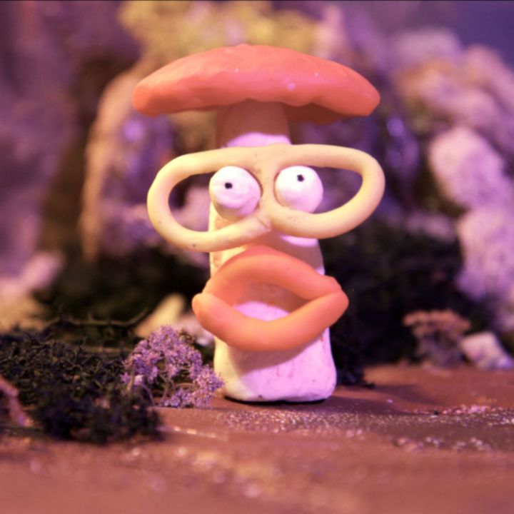 Magic Mushroom — NCY Milky Band