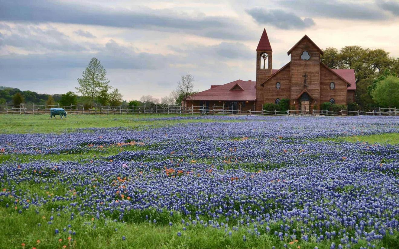 Wooden chapel above a field of bluebonnets at Old Glory Ranch, a Wimberley, Texas wedding venue on River Road