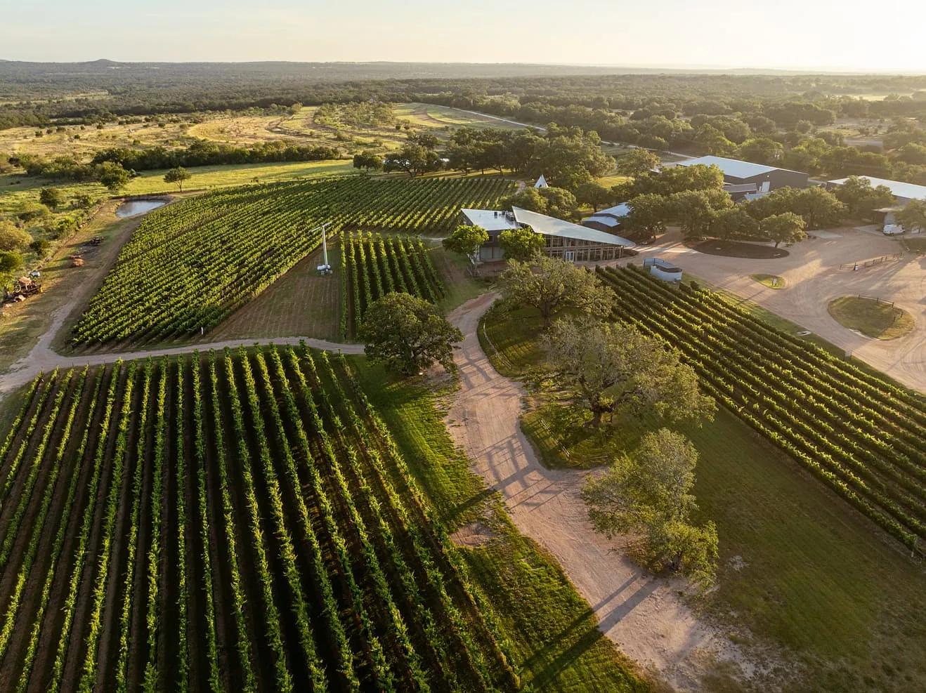 Aerial view of vineyard rows and the winery at William Chris Vineyards in Hye, Texas, east of Fredericksburg