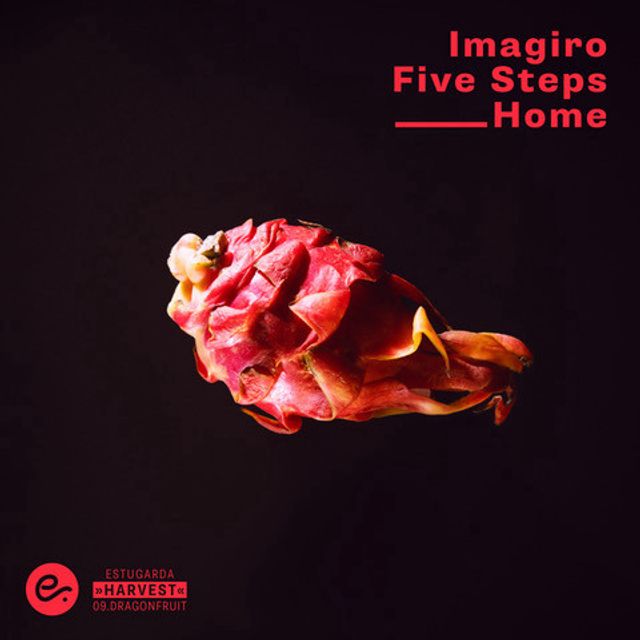 Five Steps Home by imagiro