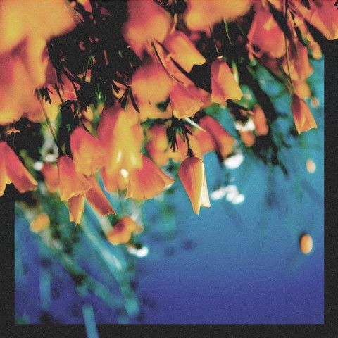 Quicksand (feat. Sebastian Kamae) by Sleepermane