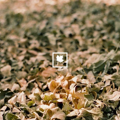 it'll be (ok) by autumn keys