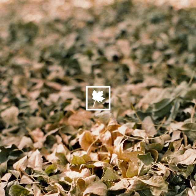 it'll be (ok) by autumn keys