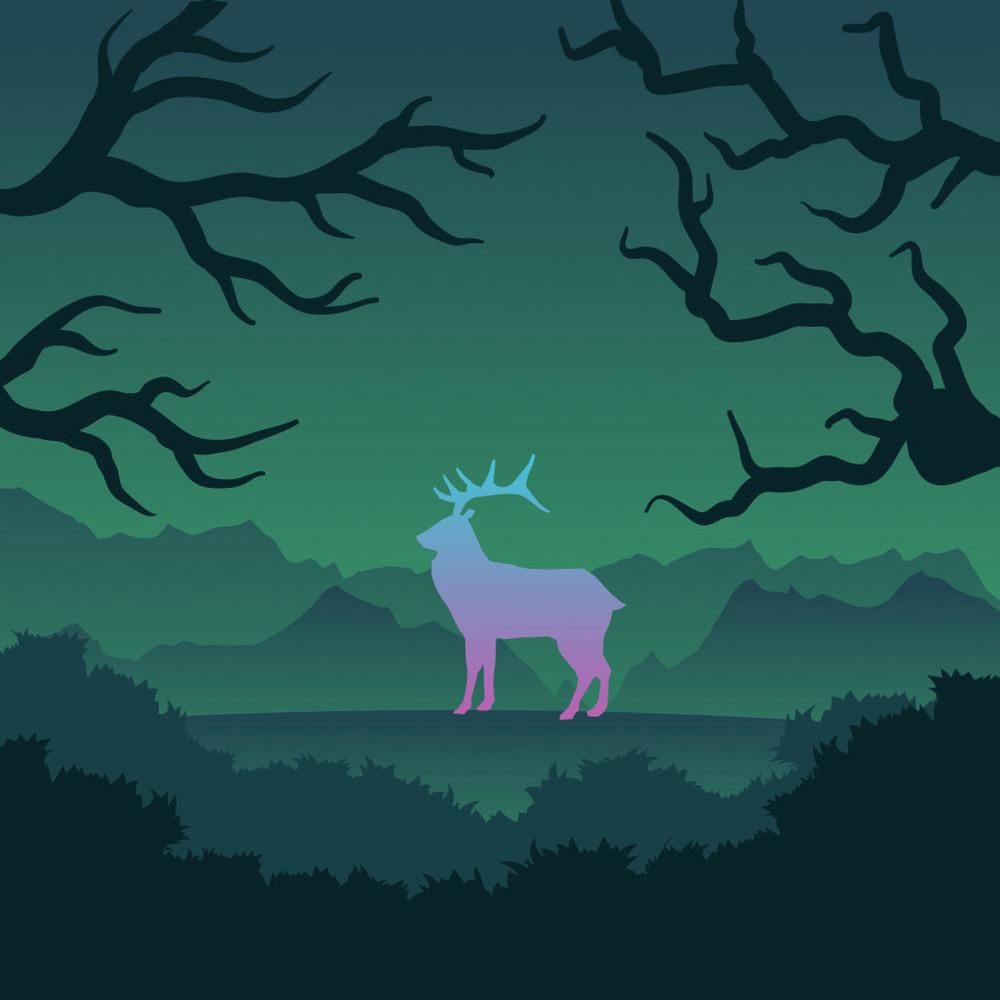 Mystic Forest