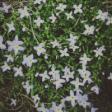 fifteenminutes by Casein