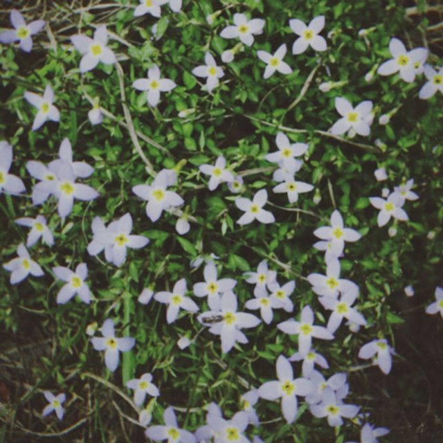 fifteenminutes by Casein