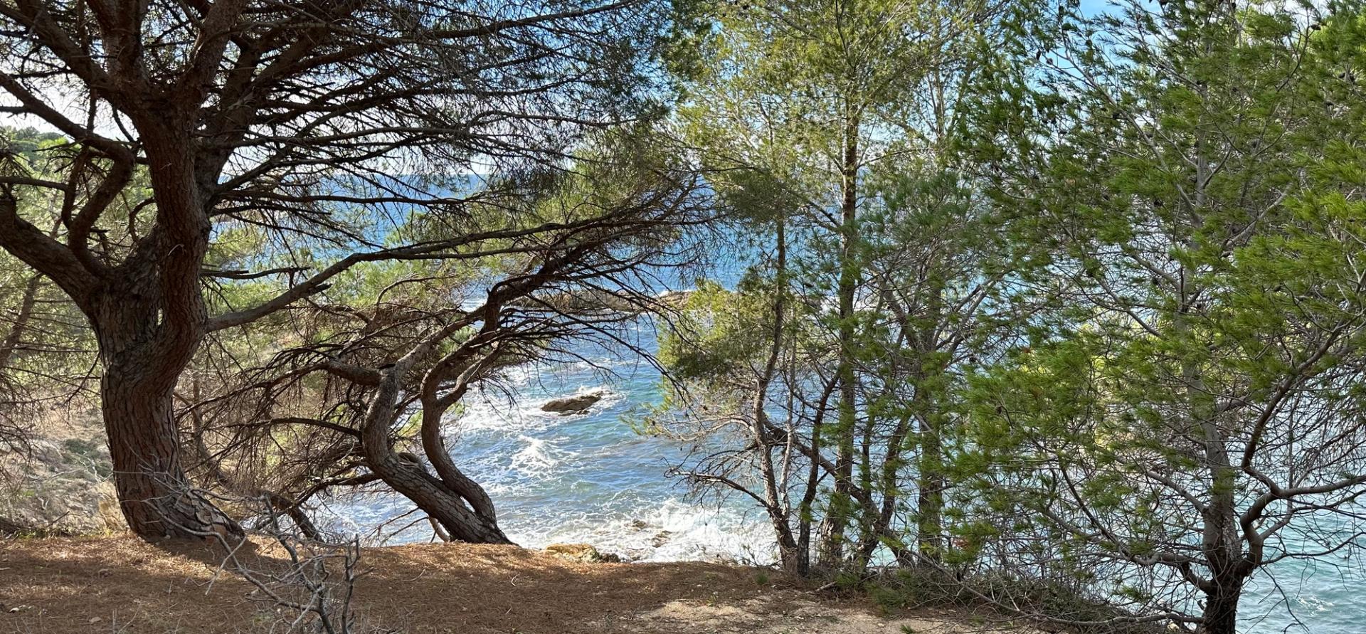 banniere-accueil-image-ocean