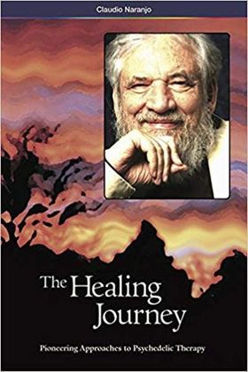 The Healing Journey Cover