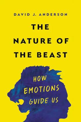 The Nature of the Beast Cover