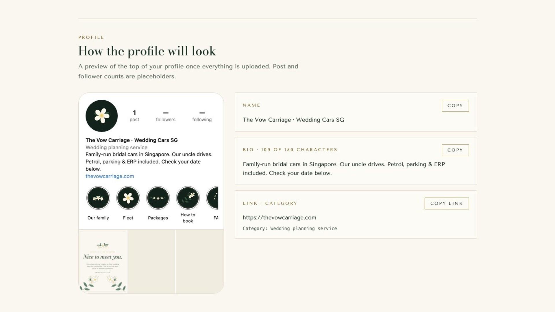 The guide's profile section: a phone preview of the finished Instagram profile beside copy-ready name, bio and link.
