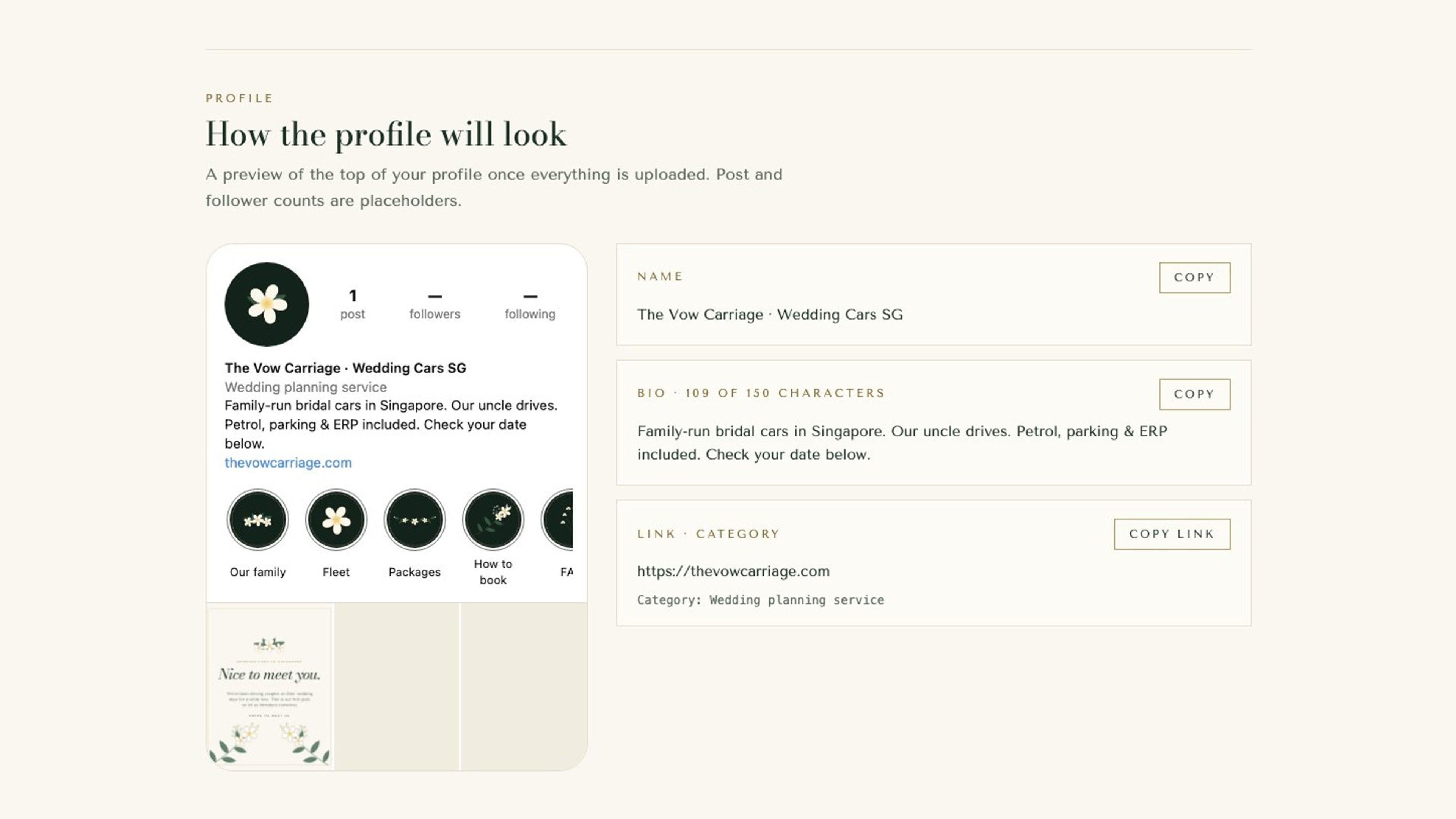 The guide's profile section: a phone preview of the finished Instagram profile beside copy-ready name, bio and link.
