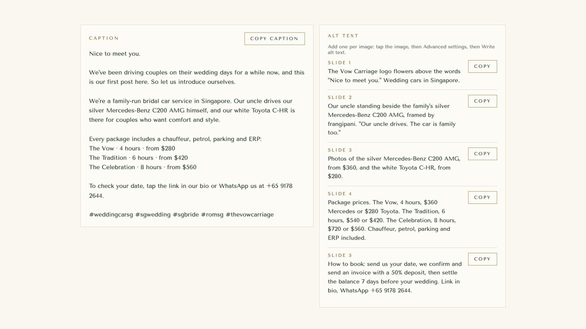 The guide's caption with a copy button, and alt text for each slide with its own copy button.