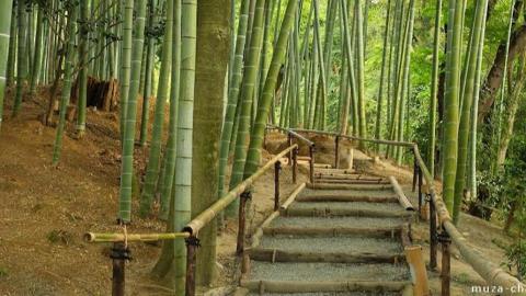 Green Drinks Kansai - Kyoto!