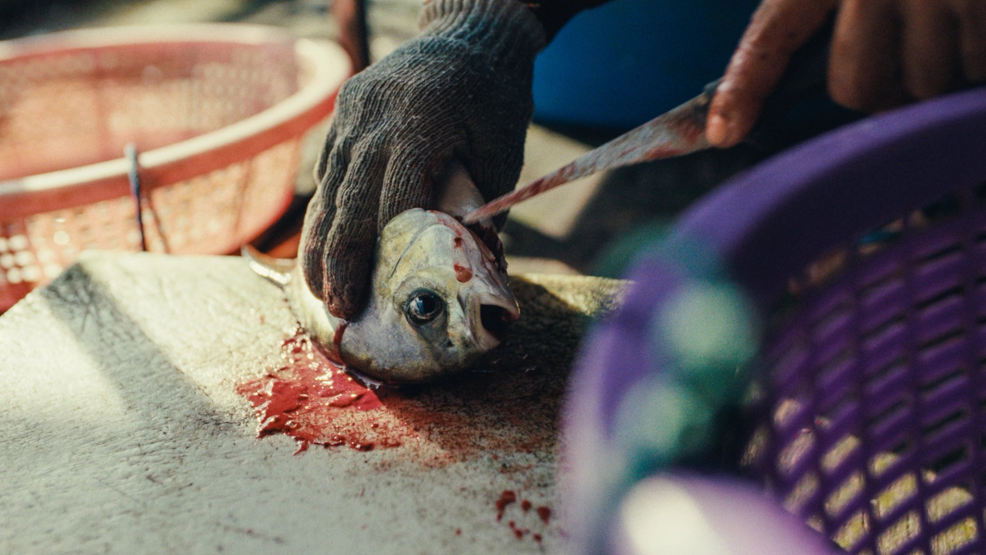 Frame from Kampong Spirit