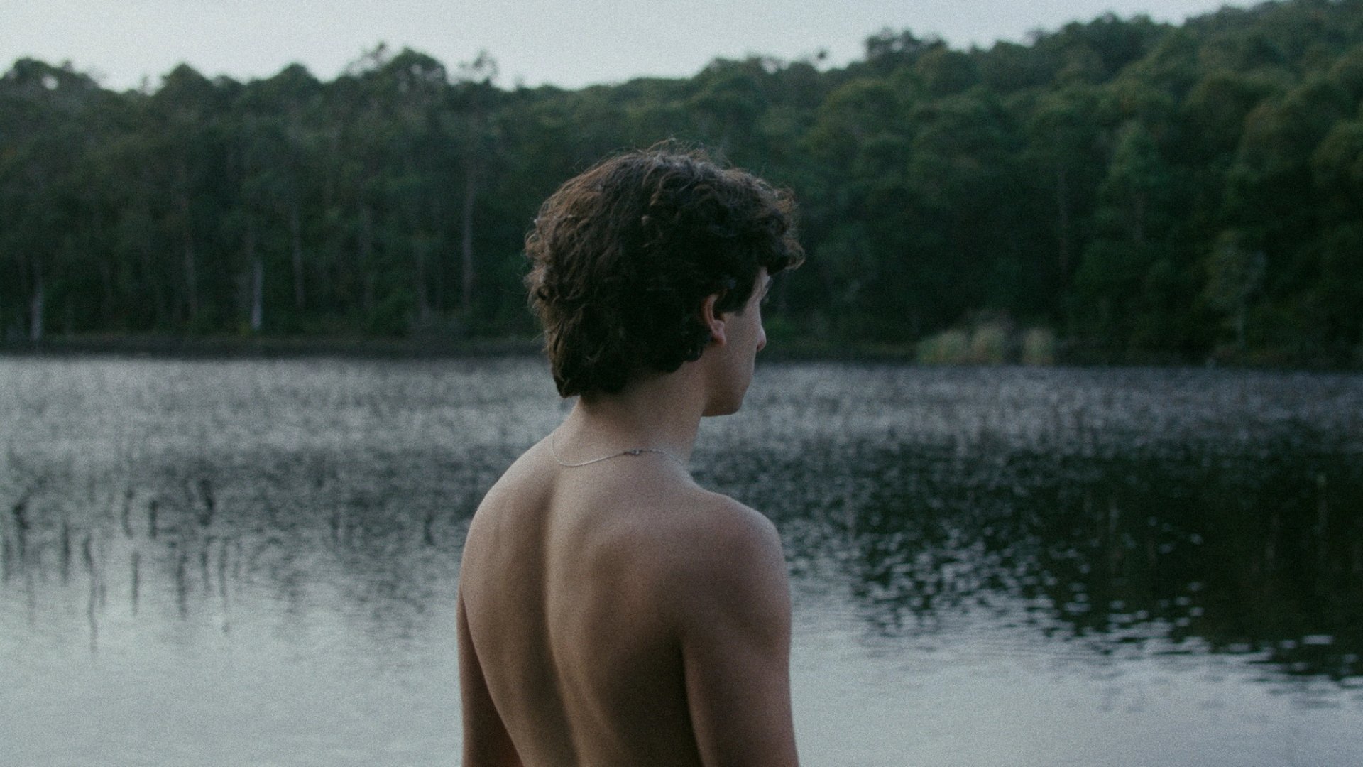 Frame from Melograno