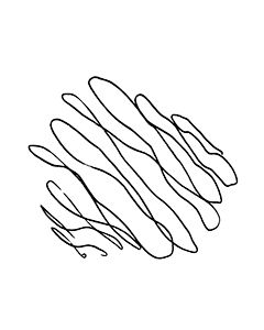 Wrap Yourself In Love (mirror) 2022 115x65x3cm