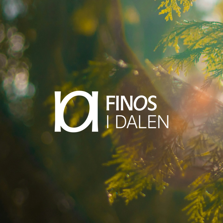 Finos i Dalen – Et ekte nabolag x Nonspace