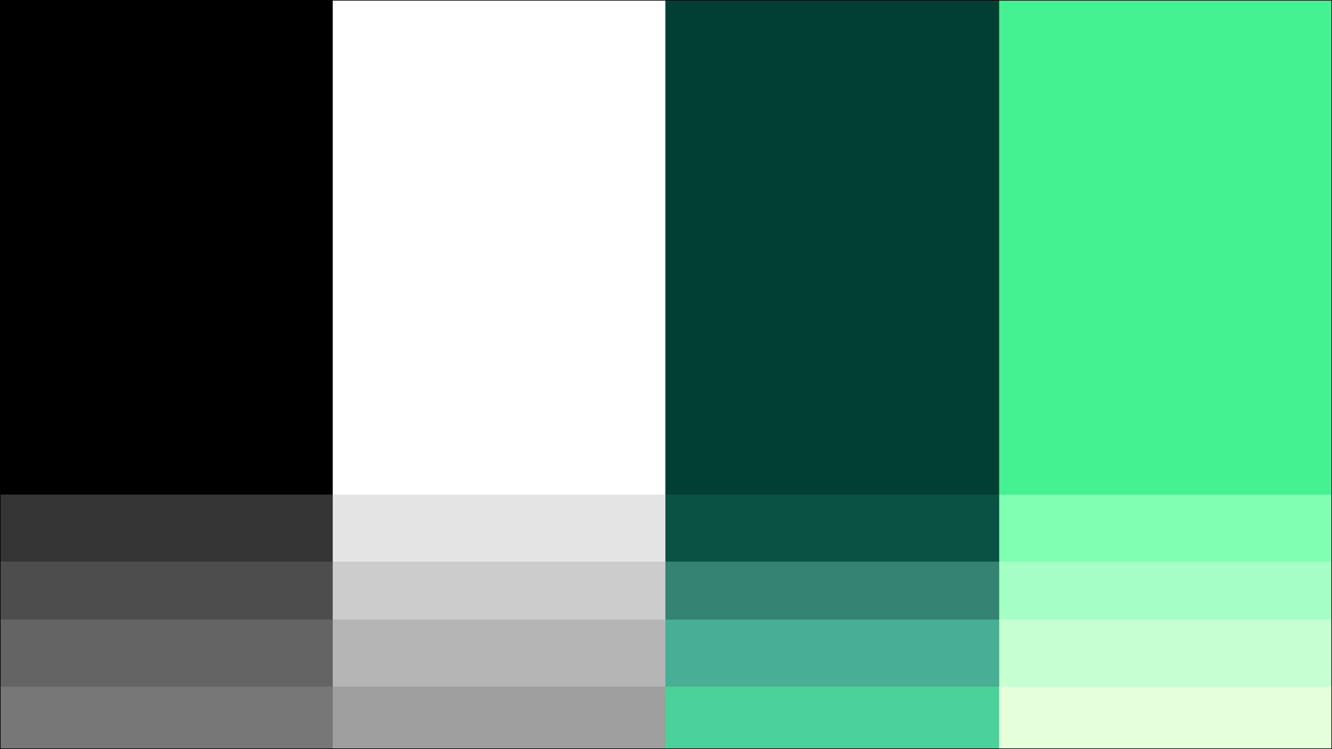 Rosenborg Ballklub ‘Always Forward’ visual identity color system featuring black, white, and green tones used across the brand, created by Nonspace.