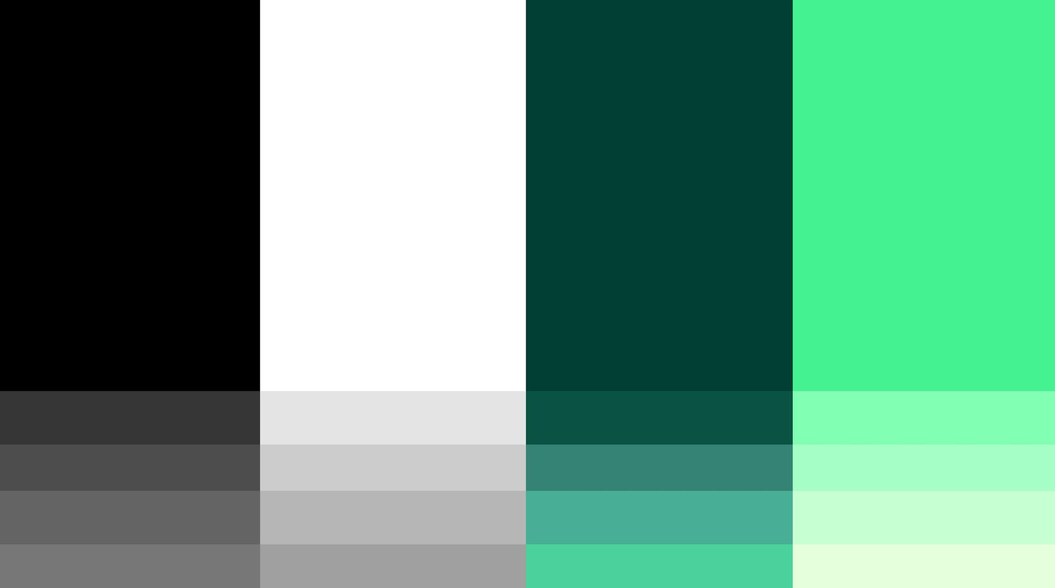 Rosenborg Ballklub ‘Always Forward’ visual identity color system featuring black, white, and green tones used across the brand, created by Nonspace.