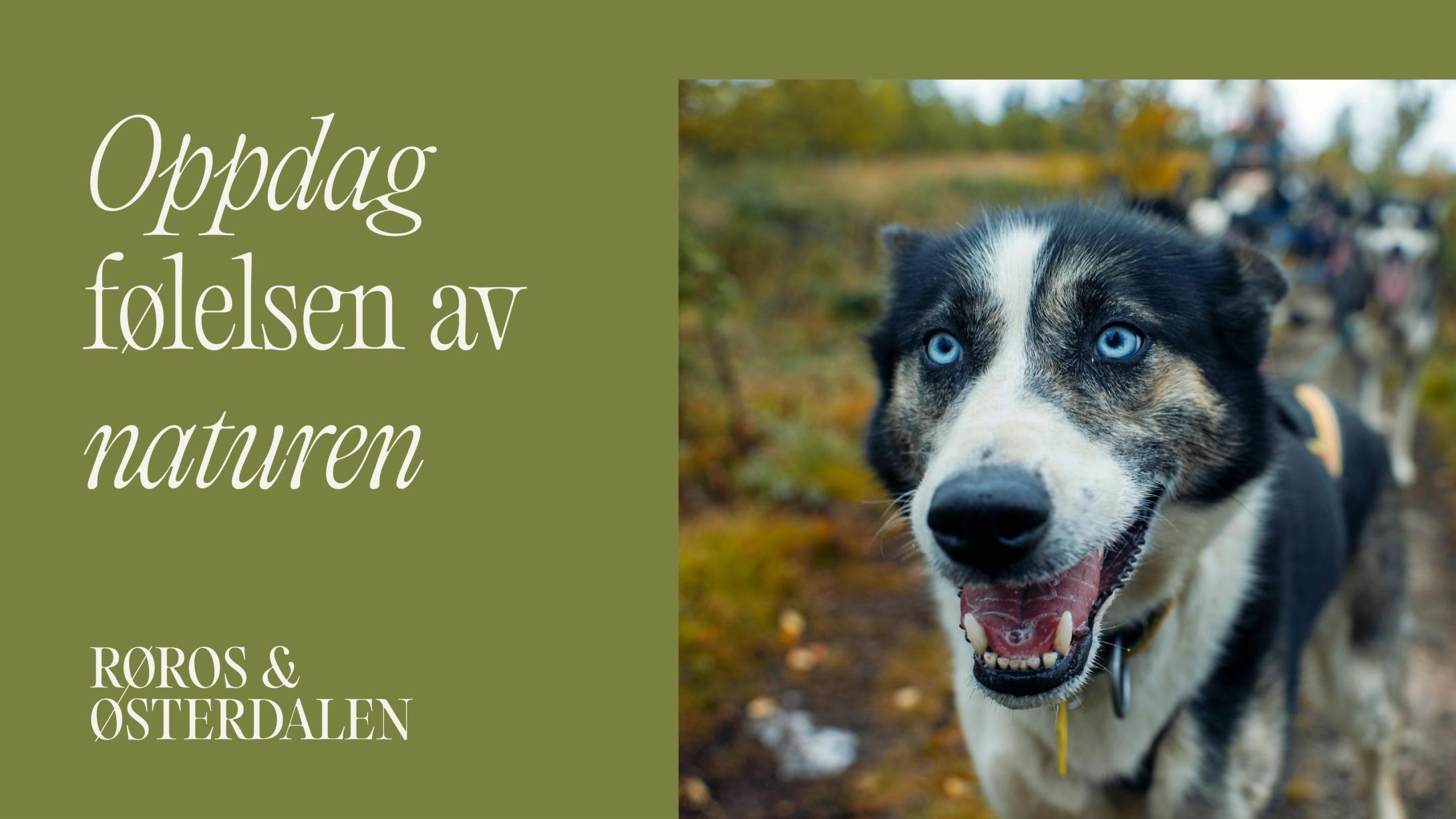 Visit Røros og Østerdalen ny visuell identitet av Nonspace