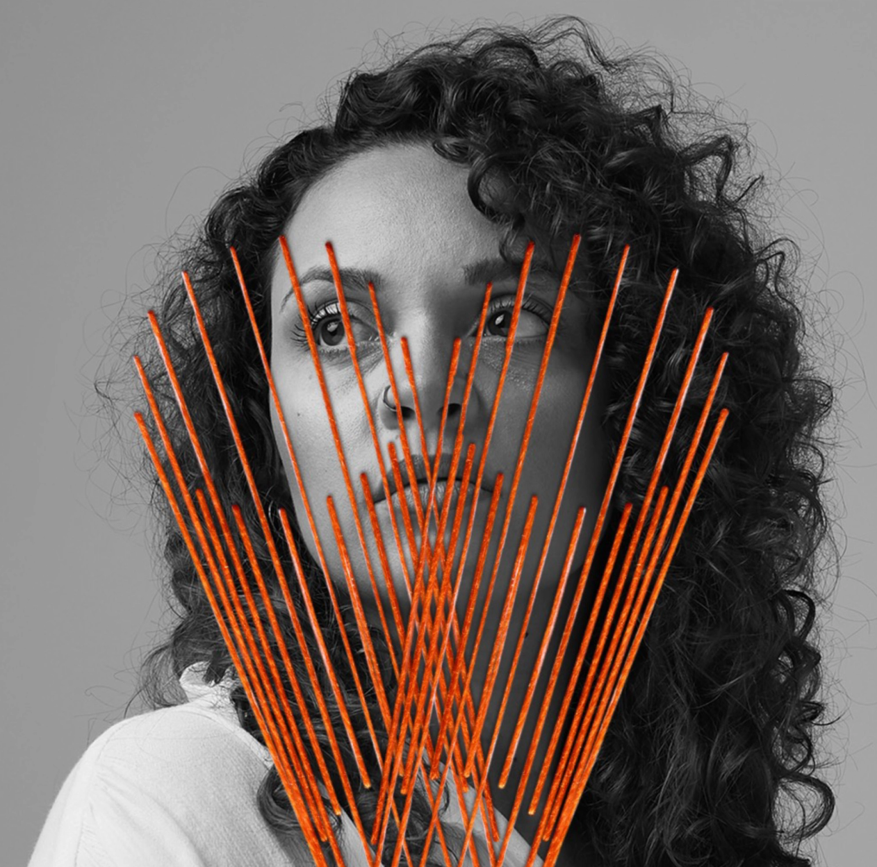 Monarchy ny visuel identitet Nonspace