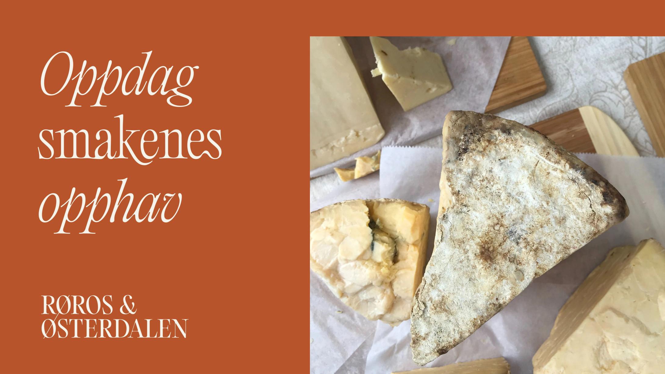 Visit Røros og Østerdalen ny visuell identitet av Nonspace