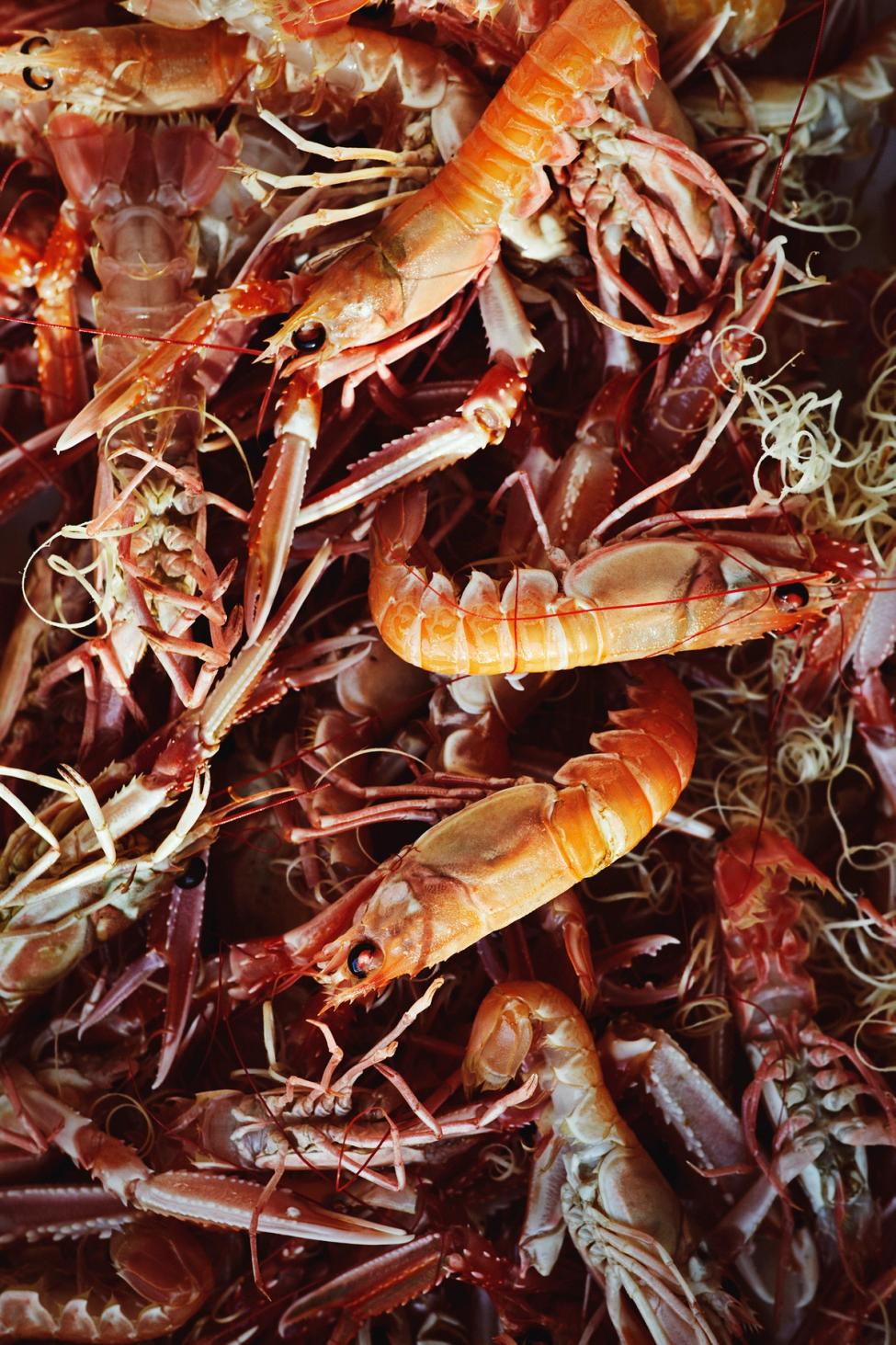 Brasserie Britannia tilgjengelig internasjonal restaurantmerkevare og visuell identitet av Nonspace