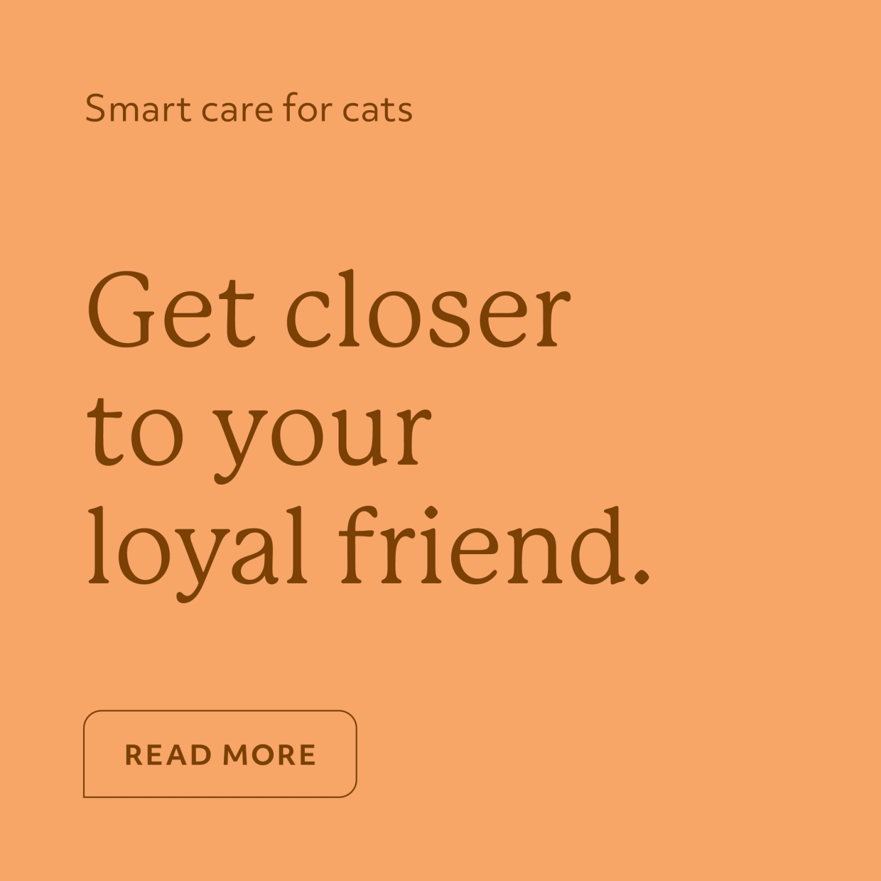 Lilcat campaign card — "Get closer to your loyal friend."