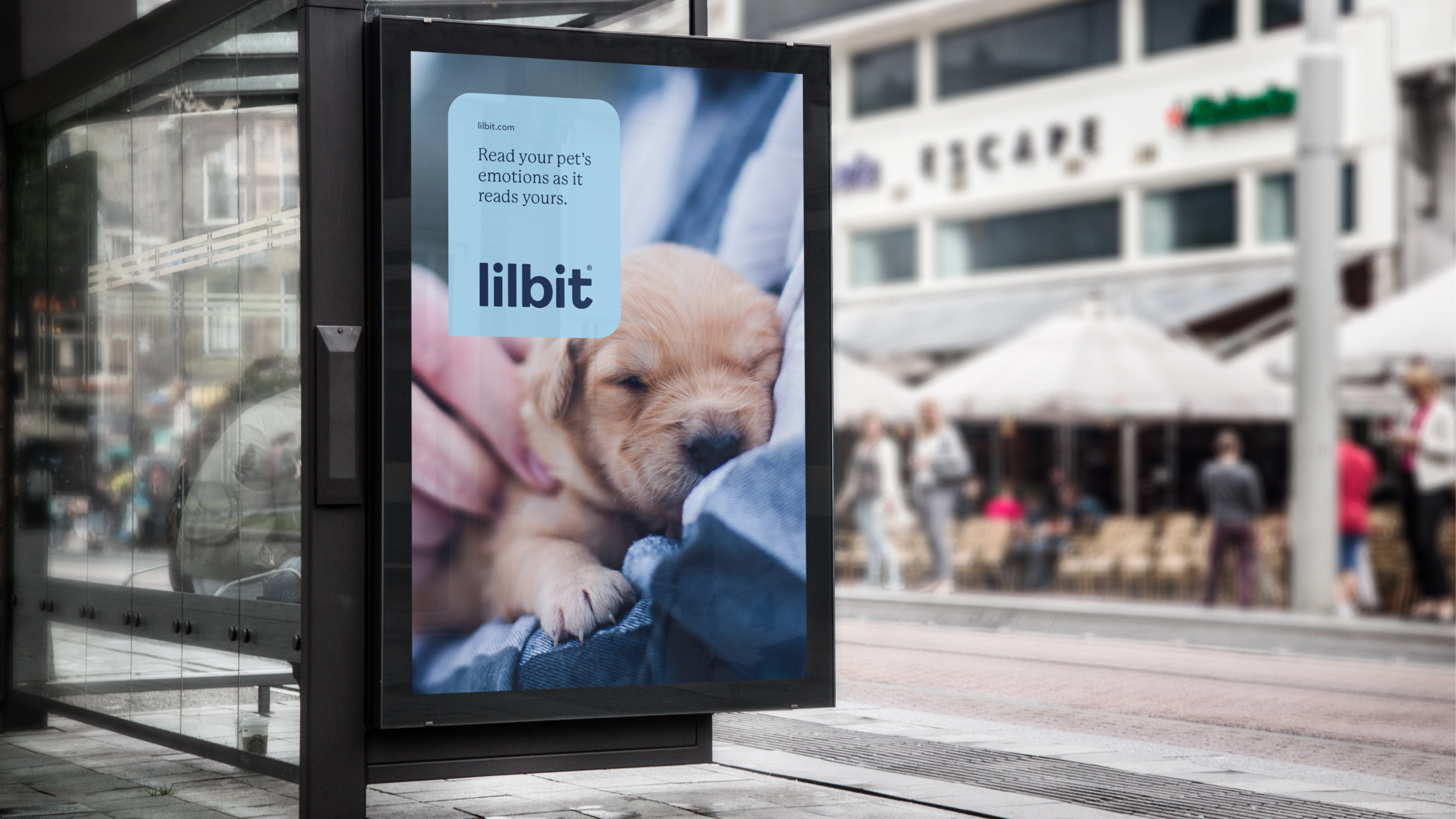 Lilbit poster at a bus stop in urban setting