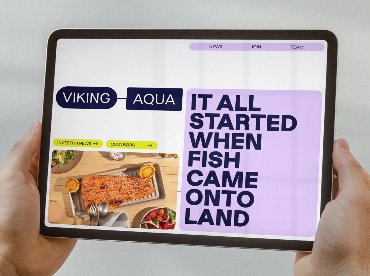 Positioning and brand platform for Viking Aqua by Nonspace