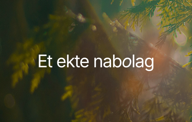 Finos i Dalen – Et ekte nabolag x Nonspace
