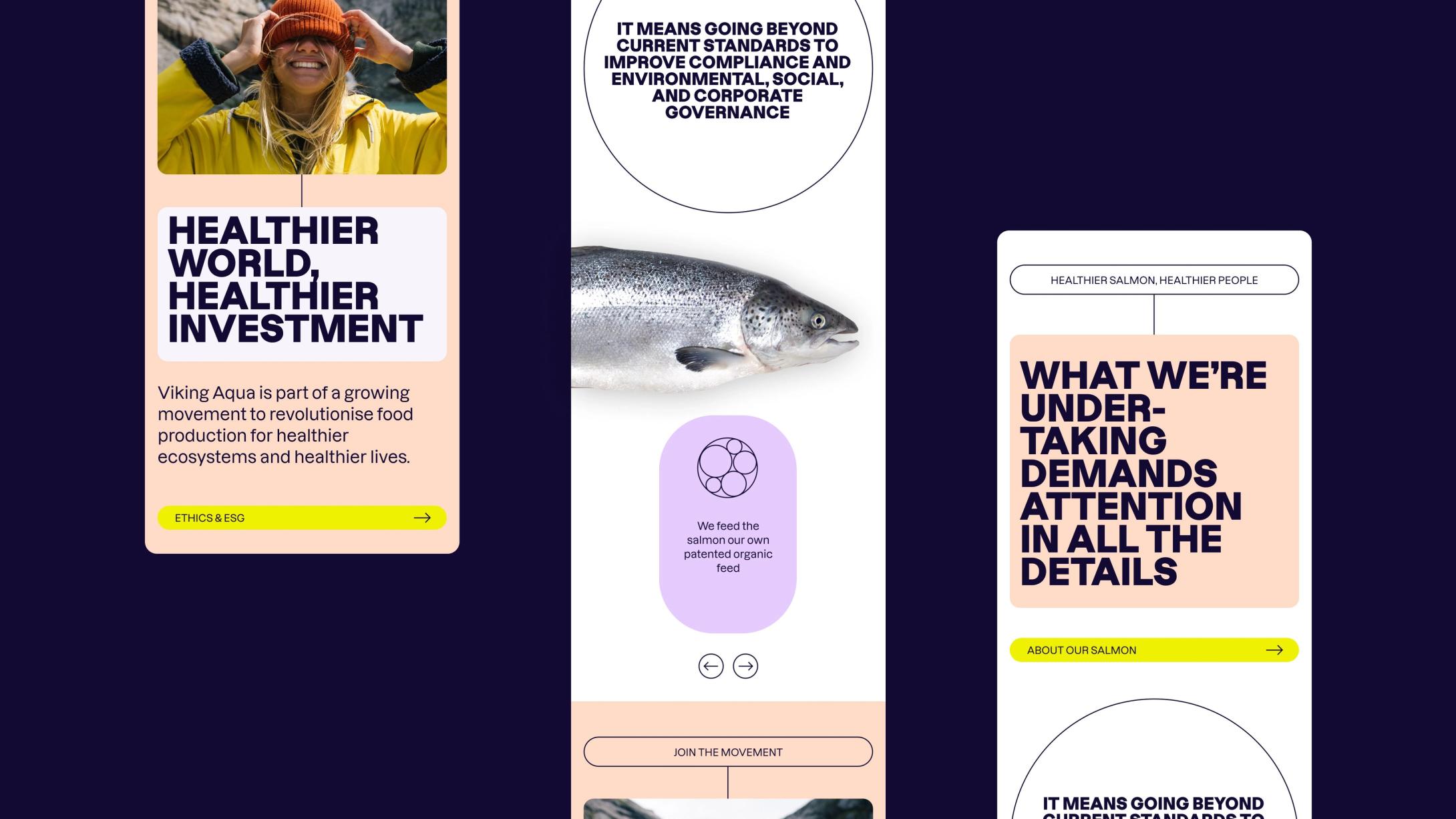 Positioning and brand platform for Viking Aqua by Nonspace